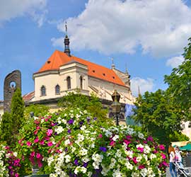 Тур на день Независимости во Львов с поездкой в Карпаты
